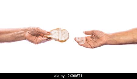 La main de la vieille femme tenant un morceau de pain. Isolé sur blanc. Main avec une tranche de pain de blé entier. Aider les sans-abri. Femme donnant pauvre sans-abri Banque D'Images