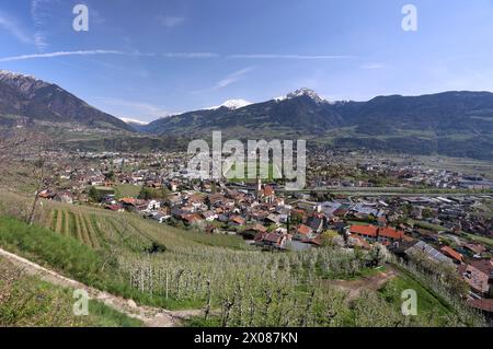 Marling, Südtirol, Italien 07. Avril 2024 : Ein Frühlingstag BEI Marling, hier am Marlinger Waalweg BEI Meran. Hier der Blick auf blühende Apfelbäume, Blüte, Obstwiese, Apfelblüte, Blütenmeer, Duft, Geruch, Tourismus, Wandern, spazieren, Ausblick, Panorama, Wärme, hier der Blick auf den Meraner Talkessel mit Marling im Vordergrund und Meran dahinter mit Pferderennplatz, Dorf Tirol links, und Hirzer und Ifinger im Hintergrund *** Marling, Tyrol du Sud, Italie 07 avril 2024 Une journée de printemps près de Marling, ici, sur le Marlinger Waalweg près de Merano ici la vue des pommiers en fleurs, fleurs, verger Banque D'Images