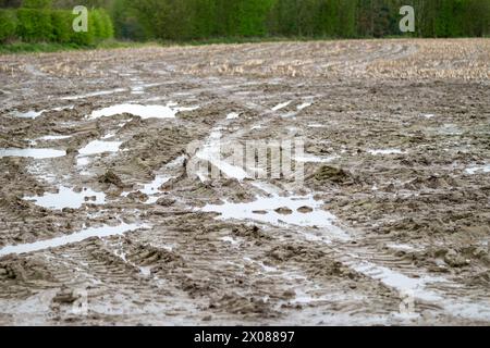 Champs gorgés d'eau dans la campagne anglaise au printemps après le huitième hiver le plus humide en 150 ans Banque D'Images