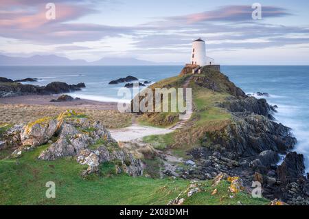 Le phare de TWR Mawr brille doucement dans la lumière avant le lever du soleil lors d'une matinée bleutée sur l'île de Llanddwyn, Anglesey, au nord du pays de Galles. Banque D'Images
