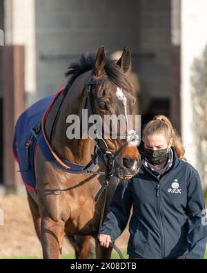 Deuxième course à Wincanton le 26 janvier 2022 Banque D'Images