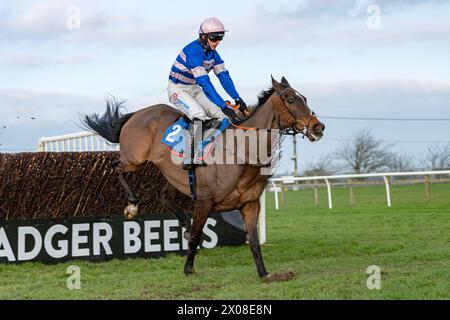 Deuxième course à Wincanton le 26 janvier 2022 Banque D'Images