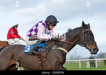 Deuxième course à Wincanton le 26 janvier 2022 Banque D'Images