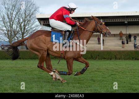 Deuxième course à Wincanton le 26 janvier 2022 Banque D'Images