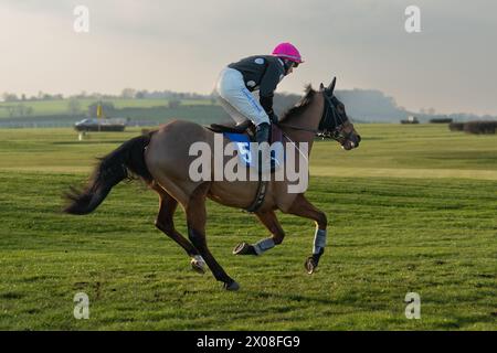 Quatrième course à Wincanton, le 26 janvier 2022, steeplechase Banque D'Images