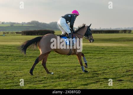 Quatrième course à Wincanton, le 26 janvier 2022, steeplechase Banque D'Images