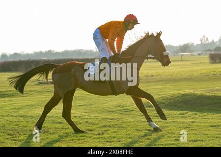 Quatrième course à Wincanton, le 26 janvier 2022, steeplechase Banque D'Images