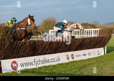 Quatrième course à Wincanton, le 26 janvier 2022, steeplechase Banque D'Images