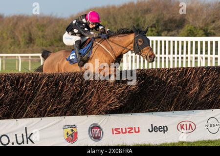 Quatrième course à Wincanton, le 26 janvier 2022, steeplechase Banque D'Images