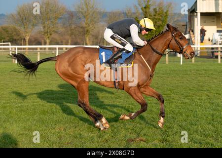 Quatrième course à Wincanton, le 26 janvier 2022, steeplechase Banque D'Images