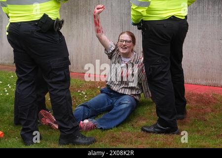 Des policiers arrêtent une personne après que des membres de Youth Demand ont jeté de la peinture rouge sur l'extérieur du bâtiment du ministère de la Défense à Londres. Date de la photo : mercredi 10 avril 2024. Banque D'Images