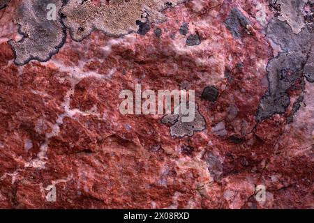 Plan macro d'un échantillon géologique présentant de la silice et de la roche de quartz infusée de formations de nickel frappantes, mettant en valeur une belle surface texturée Banque D'Images