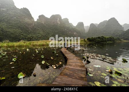 Une image tranquille capturant un individu marchant sur une jetée en bois rustique sur un lac entouré de brouillard entouré de montagnes luxuriantes au Vietnam. Banque D'Images