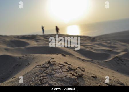 Gros plan sur les sables du désert, vue rapprochée sur le fond des sables du désert, mer et Khor al adaid plage zone sud, Doha Qatar Banque D'Images