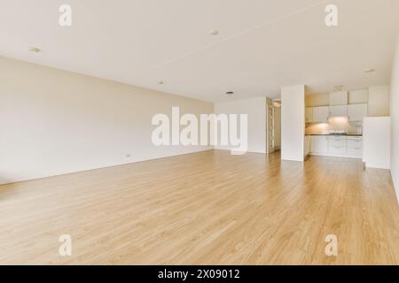 Un vaste salon bien éclairé avec parquet naturel se connecte parfaitement à un coin cuisine blanc moderne. Banque D'Images