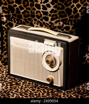 Une radio transistor de style rétro avec un design classique se distingue par un tissu imprimé léopard audacieux, évoquant une esthétique nostalgique du milieu du XXe siècle. Banque D'Images
