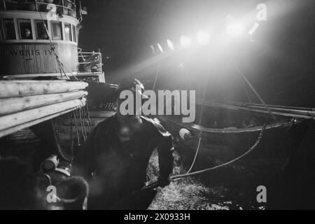 Aktuell 34-1-1973 : Storfiske på Oslo havnBrislingen skyr ikke kloakkutslipene fra storbyen. Tusenvis av skjepper som er fanget like utenfor det indre havneområdet av Oslo blir til delikate 'sardiner' som spises Med stor appetitt. Foto : ODD Ween / Aktuell / NTB ***FOTO IKKE BILDEBEHANDLET*** ce texte a été traduit automatiquement! Banque D'Images