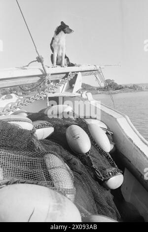 Aktuell 34-1-1973 : Storfiske på Oslo havnBrislingen skyr ikke kloakkutslipene fra storbyen. Tusenvis av skjepper som er fanget like utenfor det indre havneområdet av Oslo blir til delikate 'sardiner' som spises Med stor appetitt. Foto : ODD Ween / Aktuell / NTB ***FOTO IKKE BILDEBEHANDLET*** ce texte a été traduit automatiquement! Banque D'Images