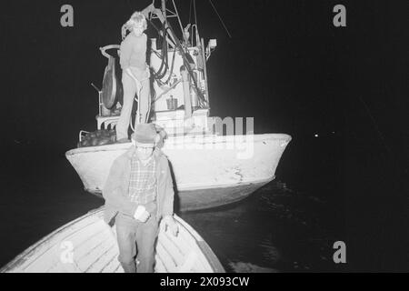 Aktuell 34-1-1973 : Storfiske på Oslo havnBrislingen skyr ikke kloakkutslipene fra storbyen. Tusenvis av skjepper som er fanget like utenfor det indre havneområdet av Oslo blir til delikate 'sardiner' som spises Med stor appetitt. Foto : ODD Ween / Aktuell / NTB ***FOTO IKKE BILDEBEHANDLET*** ce texte a été traduit automatiquement! Banque D'Images