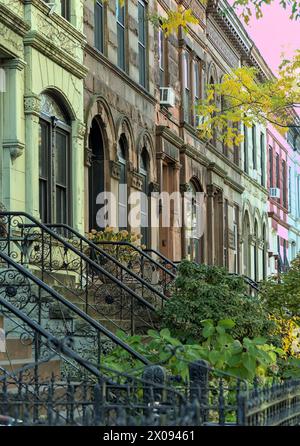 détail brownstone (bâtiments résidentiels en briques historiques colorés à brooklyn) architecture new-yorkaise, maisons sur un bloc bordé d'arbres en automne avec feuillage d'automne Banque D'Images