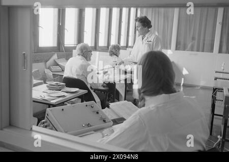 Courant 17 - 6 - 1974 : fait avec du bon goûteAu laboratoire de l'abattoir norvégien à Løren à Oslo, 16 personnes s'assoient et jugent le goût de la viande norvégienne et des produits de porc. Photo : Sverre A. Børretzen / Aktuell / NTB ***PHOTO NON TRAITÉE*** Banque D'Images