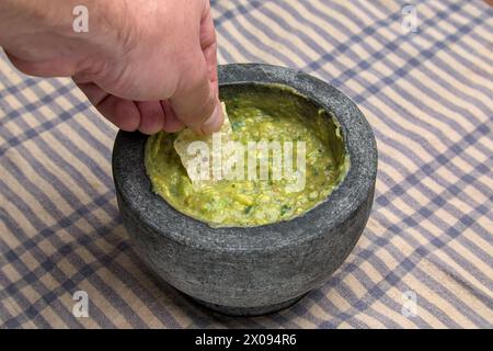 guacamole à l'intérieur molcajete (mortier mexicain traditionnel et pilon pour moudre les épices et faire des sauces) trempette d'avocat épicé avec des racines aztèques sur rayé Banque D'Images