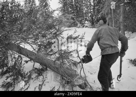 Aktuell 10 - 3 - 1974 : Nytt liv i gammel grendLeirskogen skole Øst for Bagn i Valdres skal erstattes av ny skole, siden bygda viser seg å være levedyktig. Frappez le tilbake folklorique de moustiquaire. Foto ; Sverre A. Børretzen / Aktuell / NTB ***FOTO IKKE BILDEBEHANDLET*** ce texte a été traduit automatiquement! Banque D'Images