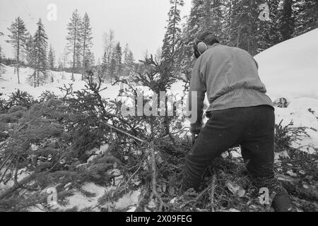 Aktuell 10 - 3 - 1974 : Nytt liv i gammel grendLeirskogen skole Øst for Bagn i Valdres skal erstattes av ny skole, siden bygda viser seg å være levedyktig. Frappez le tilbake folklorique de moustiquaire. Foto ; Sverre A. Børretzen / Aktuell / NTB ***FOTO IKKE BILDEBEHANDLET*** ce texte a été traduit automatiquement! Banque D'Images