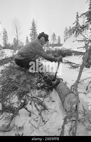 Aktuell 10 - 3 - 1974 : Nytt liv i gammel grendLeirskogen skole Øst for Bagn i Valdres skal erstattes av ny skole, siden bygda viser seg å være levedyktig. Frappez le tilbake folklorique de moustiquaire. Foto ; Sverre A. Børretzen / Aktuell / NTB ***FOTO IKKE BILDEBEHANDLET*** ce texte a été traduit automatiquement! Banque D'Images