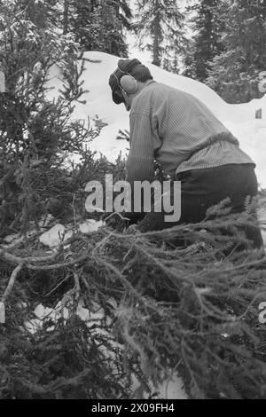 Aktuell 10 - 3 - 1974 : Nytt liv i gammel grendLeirskogen skole Øst for Bagn i Valdres skal erstattes av ny skole, siden bygda viser seg å være levedyktig. Frappez le tilbake folklorique de moustiquaire. Foto ; Sverre A. Børretzen / Aktuell / NTB ***FOTO IKKE BILDEBEHANDLET*** ce texte a été traduit automatiquement! Banque D'Images