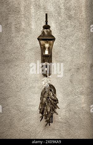 Un bouquet de piments séchés suspendus à une lampe. Banque D'Images