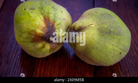 Coings isolés. Deux coings jaune sur une planche de bois. Banque D'Images