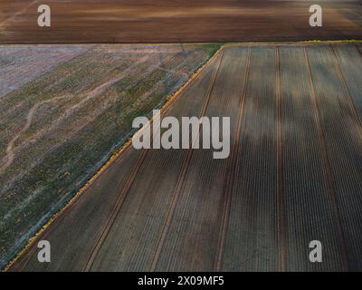 Vue de dessus des terres agricoles en patchwork. Banque D'Images