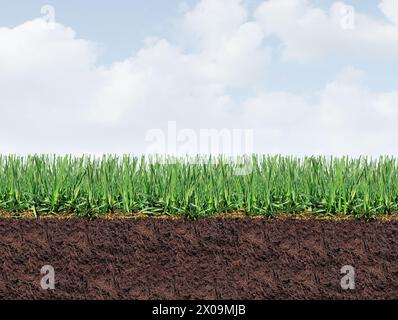 Fond de bordure de pelouse saine comme un gazon parfait et une herbe saine avec de bons soins de pelouse pour contrôler les mauvaises herbes et fertiliser et aérer une cour verte Banque D'Images