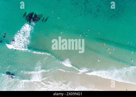 Aérien pittoresque de personnes chevauchant sur des planches de surf sur une plage. Vue de haut en bas des surfeurs essayant d'attraper des vagues dans une eau turquoise. Concept d'été Banque D'Images