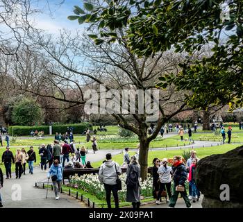 Foules profitant du soleil printanier à St Stephens Green, Dublin, Irlande. Banque D'Images