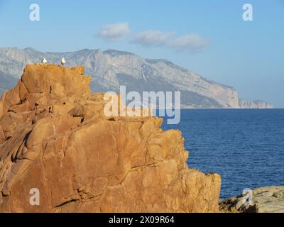 Les rochers rouges d'Arbatax, côte est sarde, province de Nuoro, Italie Banque D'Images