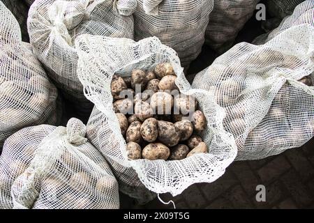 Nakuru, Kenya. 09th Apr, 2024. Sacs de pommes de terre dans un entrepôt à Mau Narok, comté de Nakuru. Les phénomènes météorologiques extrêmes affectent la culture de la pomme de terre. (Photo de James Wakibia/SOPA images/SIPA USA) crédit : SIPA USA/Alamy Live News Banque D'Images