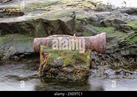 Les restes de Fort Dearborn, un bunker de la seconde Guerre mondiale, sur le terrain du parc d'État d'Odiorne point à Rye, New Hampshire. Banque D'Images