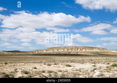 Magnifique paysage de Mangystau, réserve naturelle d'Ustyurt, Kazakhstan. Voyages en asie centrale Banque D'Images