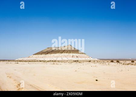 Formation rocheuse de Baysary, région de Mangystau, Kazakhstan. Point de repère de l'asie centrale Banque D'Images