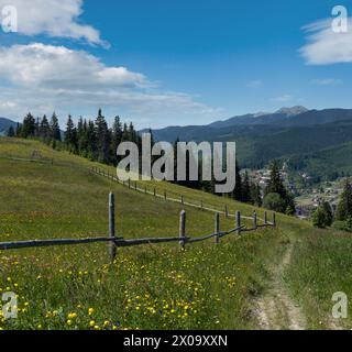 Été pittoresque Gorgany massiv montagnes vue de paysage de la colline Sevenei (près du col de Yablunytsia, Carpates, Ukraine.) Banque D'Images