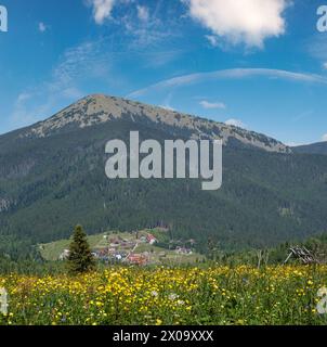 Été pittoresque Gorgany massiv montagnes vue de paysage de la colline Sevenei (près du col de Yablunytsia, Carpates, Ukraine.) Banque D'Images