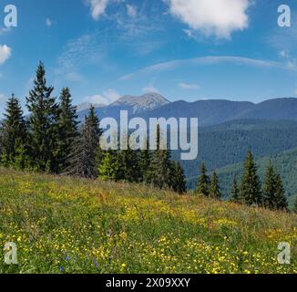 Été pittoresque Gorgany massiv montagnes vue de paysage de la colline Sevenei (près du col de Yablunytsia, Carpates, Ukraine.) Banque D'Images