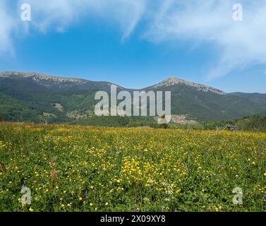 Été pittoresque Gorgany massiv montagnes vue de paysage de la colline Sevenei (près du col de Yablunytsia, Carpates, Ukraine.) Banque D'Images