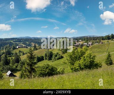 Été pittoresque Gorgany massiv montagnes vue de paysage de la colline Sevenei (près du col de Yablunytsia, Carpates, Ukraine.) Banque D'Images