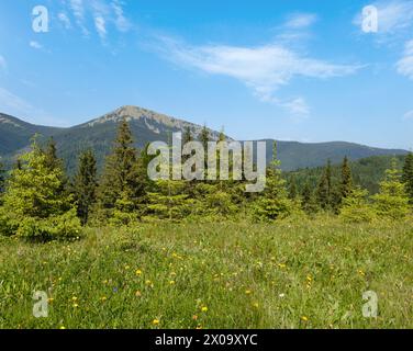 Été pittoresque Gorgany massiv montagnes vue de paysage de la colline Sevenei (près du col de Yablunytsia, Carpates, Ukraine.) Banque D'Images