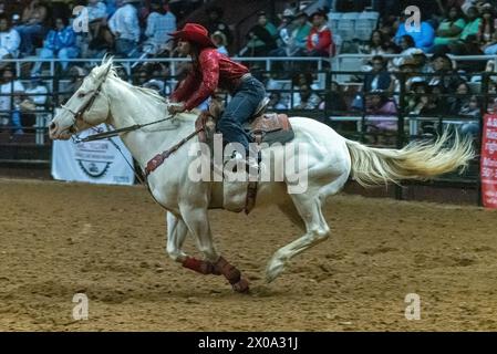 Little Rock, Arkansas, États-Unis. 6 avril 2024. Black Cowboys et cowgirls participent à la deuxième défaite annuelle The Beast Rodeo au Barton Coliseum de Little Rock, Arkansas, le samedi 6 avril 2024. (Crédit image : © Brian Branch Price/ZUMA Press Wire) USAGE ÉDITORIAL SEULEMENT! Non destiné à UN USAGE commercial ! Banque D'Images