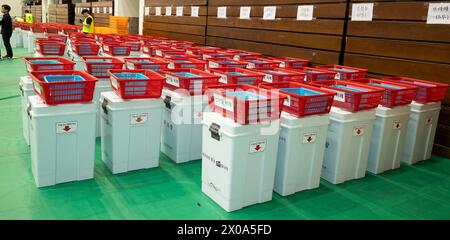 Séoul, Corée du Sud. 10 avril 2024. Les responsables de la Commission électorale nationale sud-coréenne comptent les bulletins de vote lors des élections législatives du pays à Séoul, en Corée du Sud, le 10 avril 2024. (Photo : Lee Young-ho/Sipa USA) crédit : Sipa USA/Alamy Live News Banque D'Images