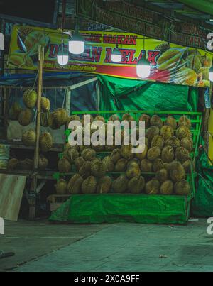 Ce sont les fameux fruits de durian doux au beurre de Melak, une petite ville dans l'est du Kalimantan. ils sont empilés sur une étagère, éclairés par le glo chaud Banque D'Images